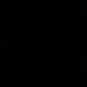 Meet your Posher, Coby